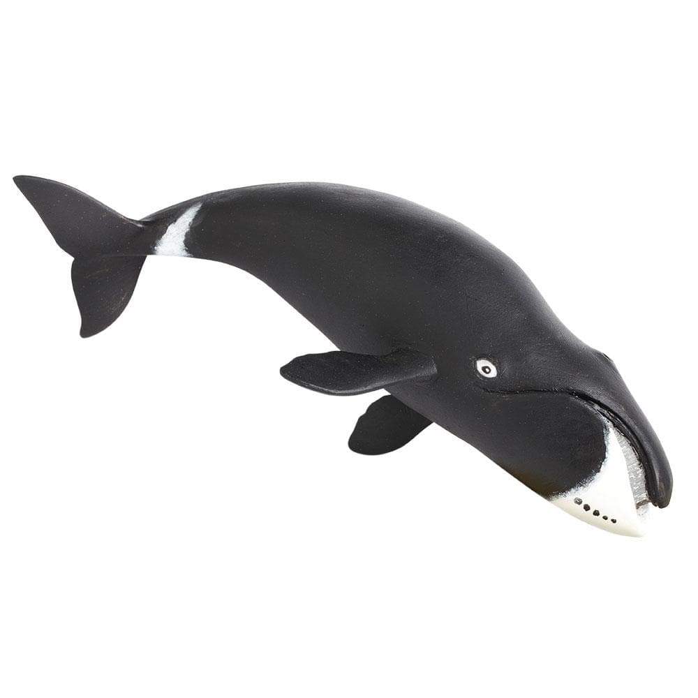 Safari Ltd Figurka Wieloryb grenlandzki