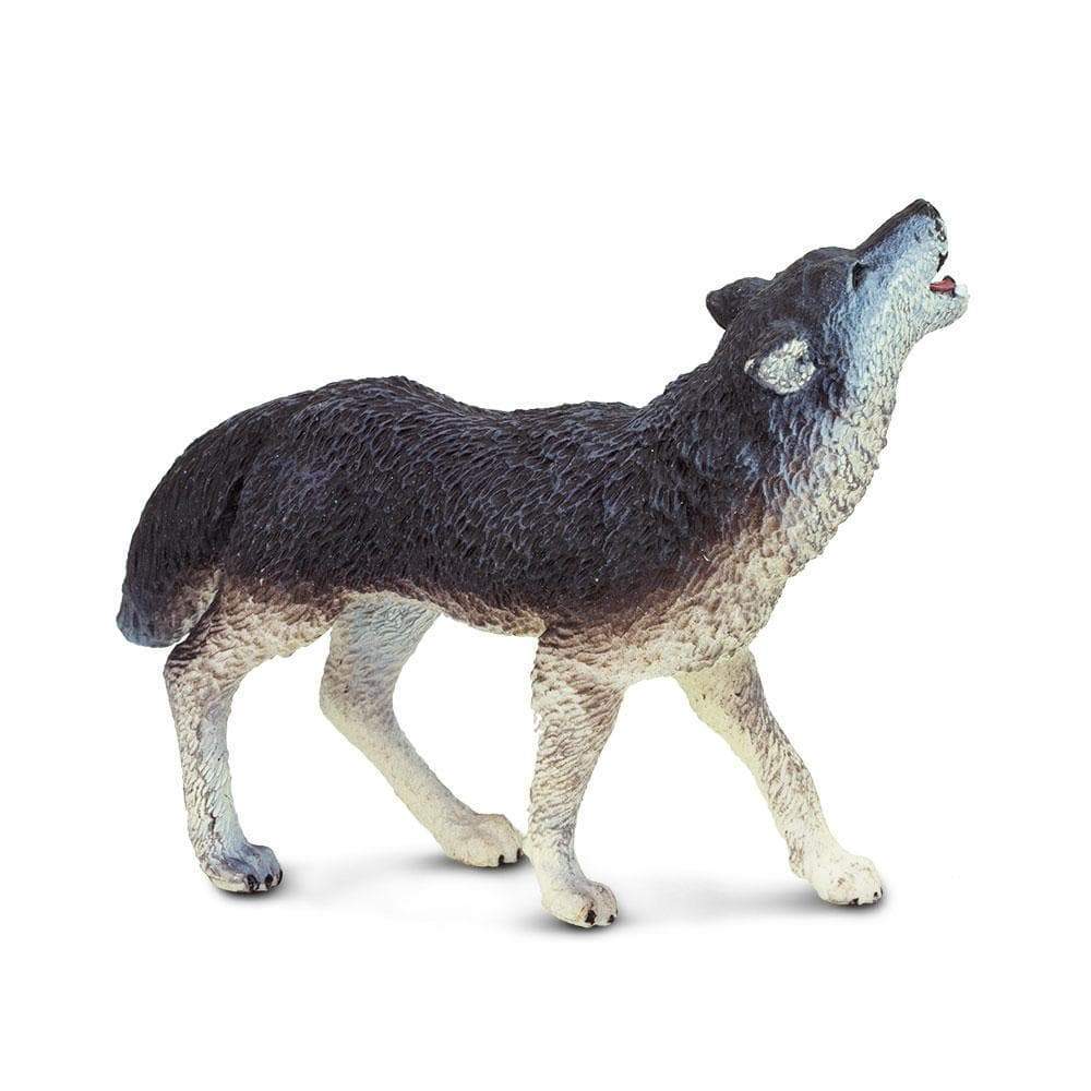 Safari Ltd Figurka Wilk szary
