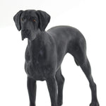 Safari Ltd Figurka Pies Dog niemiecki