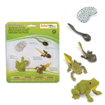Safari Ltd Zestaw figurek Montessori Cykl życia żaby