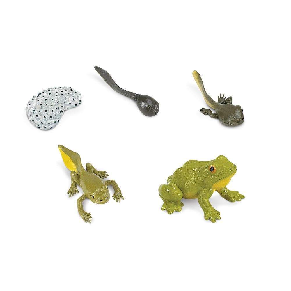 Safari Ltd Zestaw figurek Montessori Cykl życia żaby