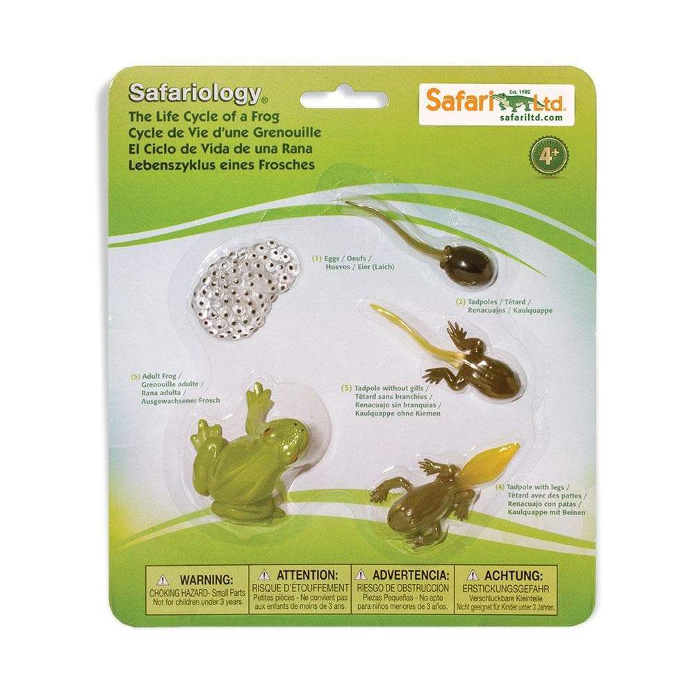 Safari Ltd Zestaw figurek Montessori Cykl życia żaby