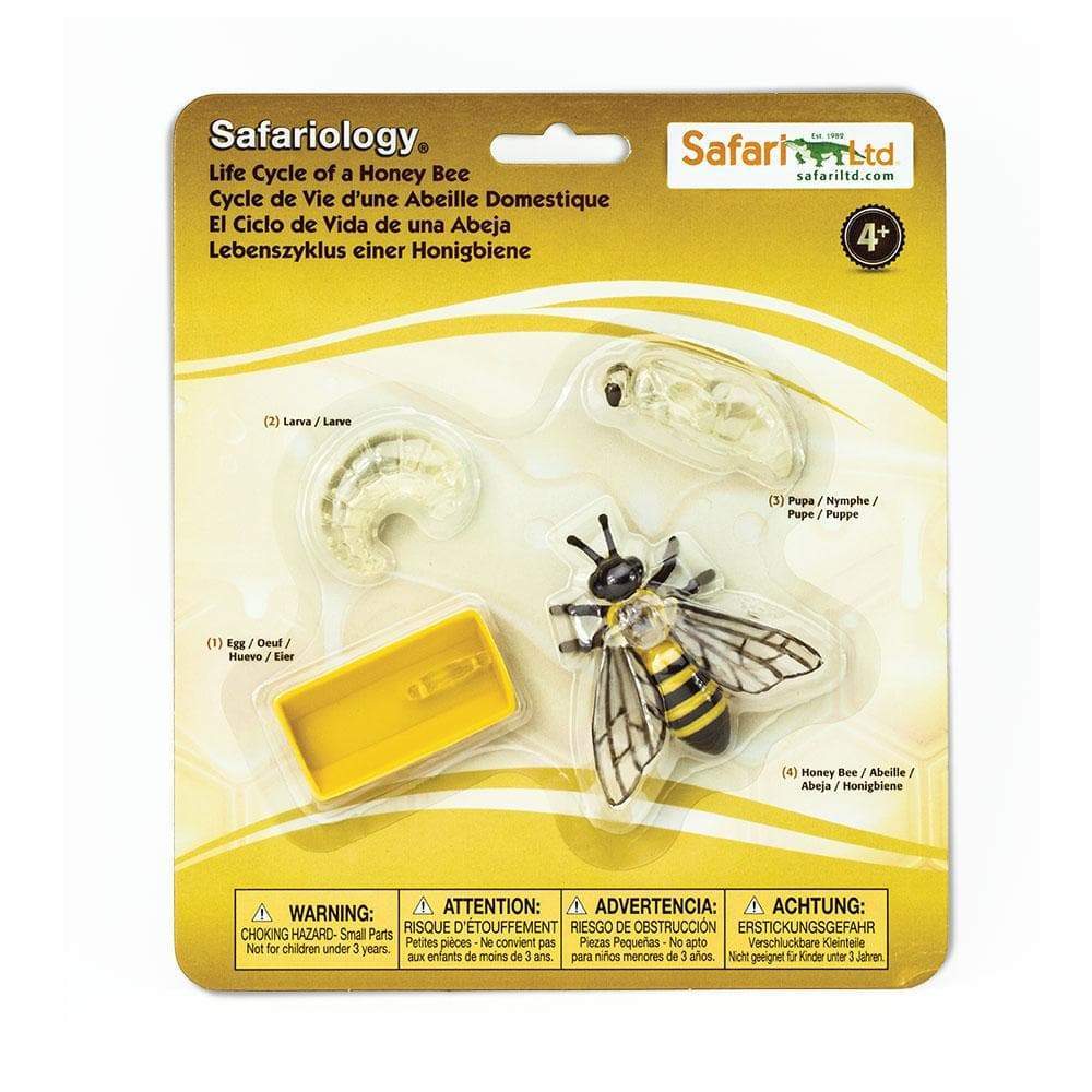 Safari Ltd Zestaw figurek Montessori Cykl życia pszczoły