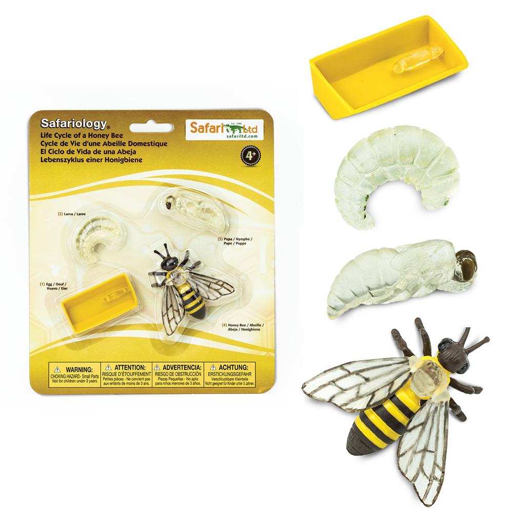 Safari Ltd Zestaw figurek Montessori Cykl życia pszczoły