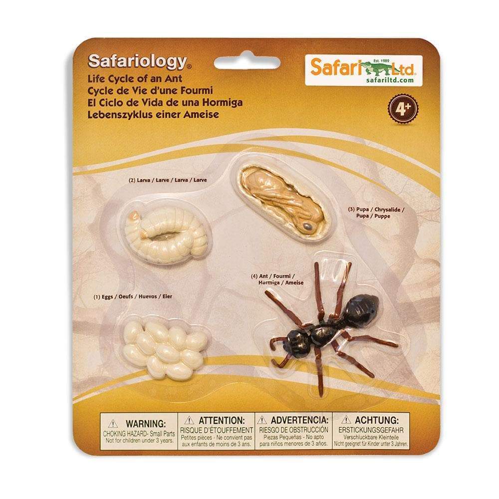 Safari Ltd Zestaw figurek Montessori Cykl życia mrówki - 4kidspoint.pl