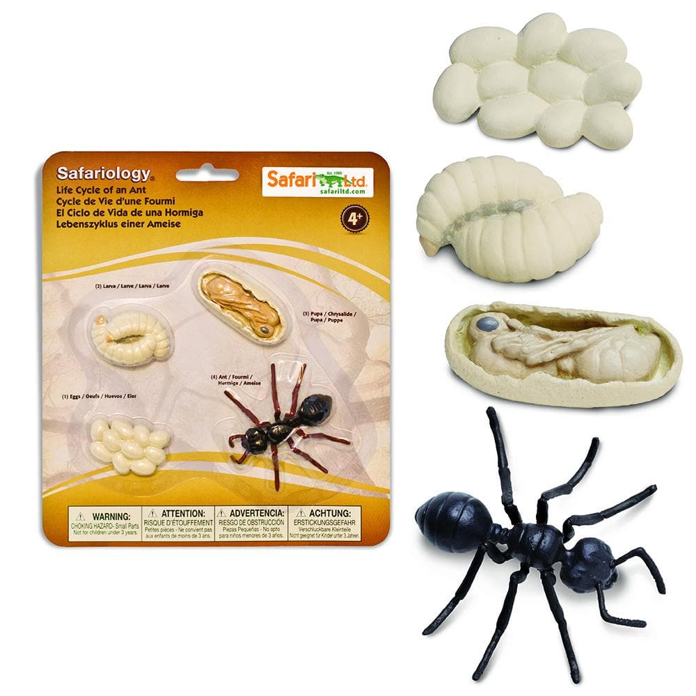 Safari Ltd Zestaw figurek Montessori Cykl życia mrówki - 4kidspoint.pl