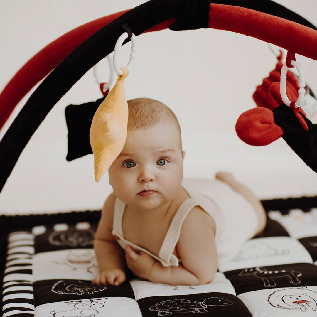 Baby Steps Mata edukacyjna dla niemowląt z pałąkiem Kontrastowa