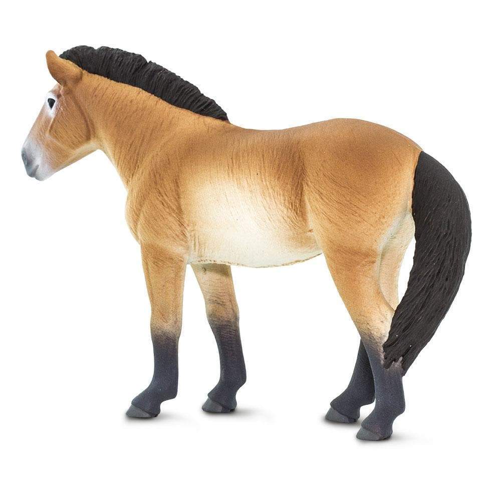 Safari Ltd Figurka Konia Przewalskiego