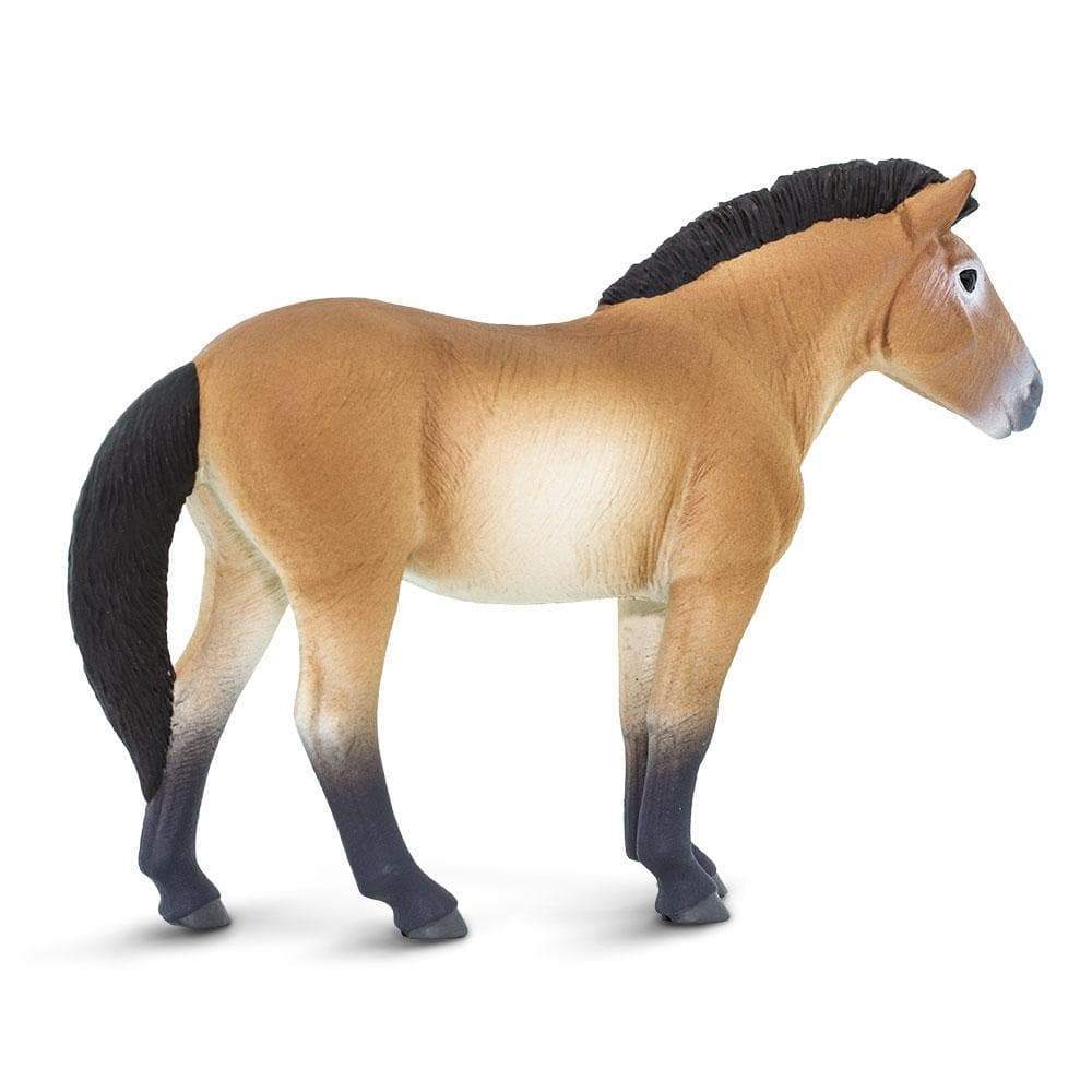 Safari Ltd Figurka Konia Przewalskiego