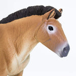 Safari Ltd Figurka Konia Przewalskiego