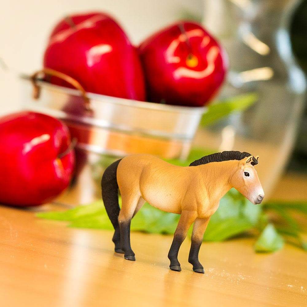 Safari Ltd Figurka Konia Przewalskiego