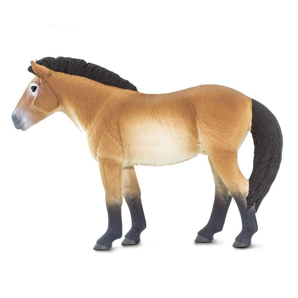 Safari Ltd Figurka Konia Przewalskiego