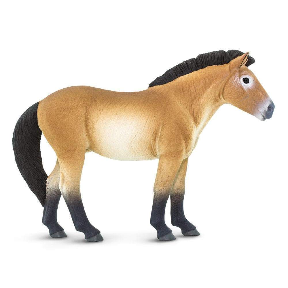 Safari Ltd Figurka Konia Przewalskiego