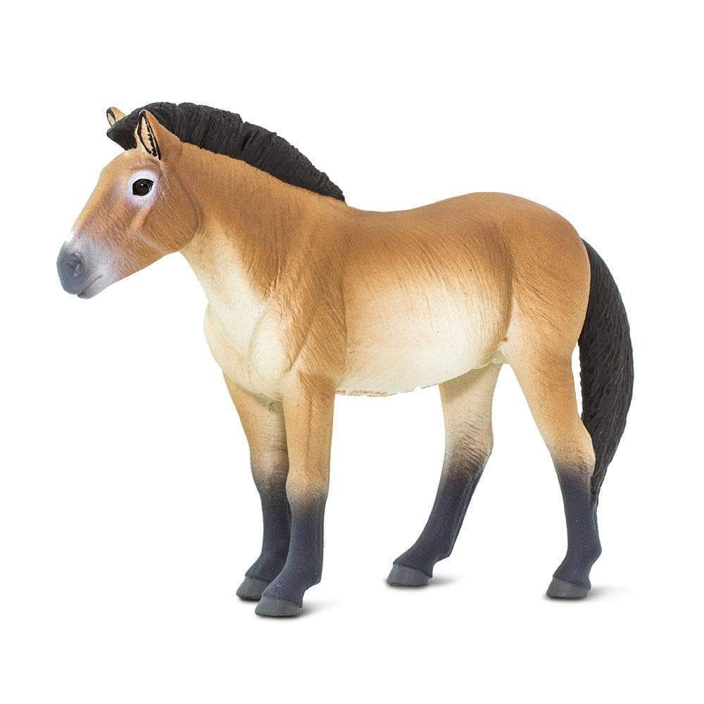 Safari Ltd Figurka Konia Przewalskiego