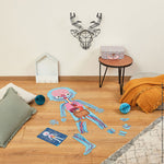 Janod Puzzle dla dziecka edukacyjne Ciało człowieka 50, 75 i 100 elementów 5 + - 4kidspoint.pl