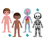 Janod Puzzle dla dziecka edukacyjne Ciało człowieka 50, 75 i 100 elementów 5 + - 4kidspoint.pl
