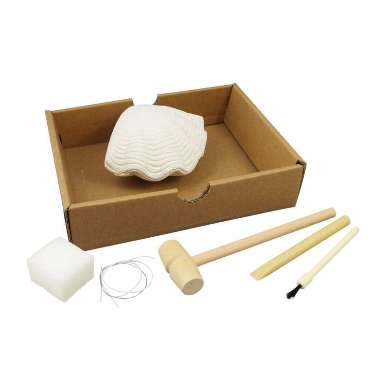 Buki Zestaw archeologa dla dzieci Muszelki 8+ - 4kidspoint.pl