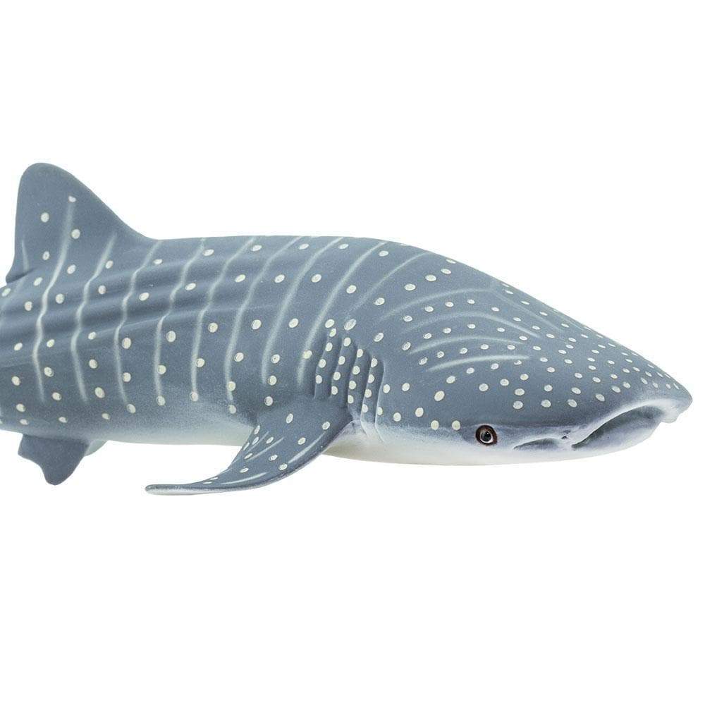 Safari Ltd Figurka Rekin wielorybi