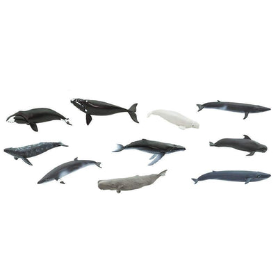 Safari Ltd Figurki zwierząt Zestaw figurek Montessori Wieloryby w tubie