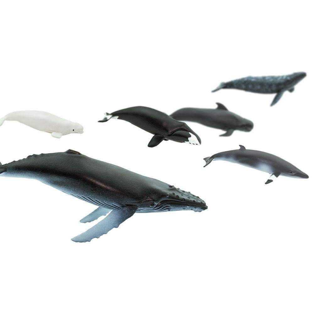 Safari Ltd Figurki zwierząt Zestaw figurek Montessori Wieloryby w tubie